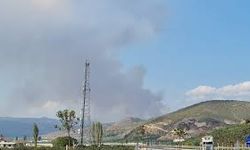 İznik’te orman yangını kontrol altına alındı