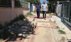 Tekirdağ’da belediye yol yapmayınca vatandaş sokağa halı serdi