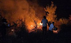Eskişehir'deki orman yangınında şehit olan Eren Arslan'ın babası konuştu