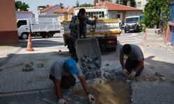 Parklardan yollara Sivrihisar baştan sona temizleniyor
