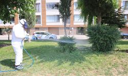 Yaz aylarında artan kene tehlikesine karşı Odunpazarı Belediyesi’nden etkili mücadele