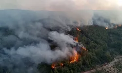 Tekirdağ'da orman yangınında soğutma çalışmaları sürüyor