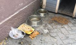 Eskişehir'de o görüntü tepki çekiyor