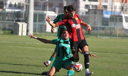 Daha canlı Berk