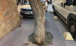 Eskişehir'de kaldırım işgali yayaları zorluyor