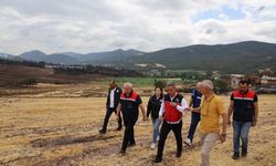 Bilecik yangın bölgesinde çalışmalar devam ediyor