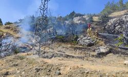 Adıyaman'da orman yangını