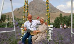Âşık olduğu dağın eteğine lavanta bahçesi kurdu, kartpostallık görüntüler oluştu