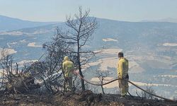 Sarp araziye 2 kilometre hortum çeken ateş savaşçıları yangını söndürdü