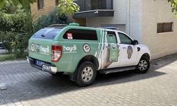 Kedinin balkona mahkum edildiği iddiası polisi harekete geçirdi
