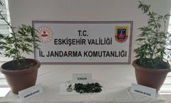 Eskişehir'de balkonda kenevir yetiştiren şüpheli jandarmadan kaçamadı
