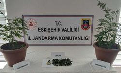 Balkondaki saksıların içinde 2 kök kenevir ve 47 gram esrar maddesi ele geçirildi