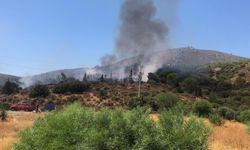 Datça’da makilik yangını