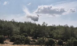 Edirne'de çıkan yangın ormanlık alana sıçradı: Havadan ve karadan müdahale ediliyor