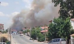Edirne'deki orman yangınında imdada yağmur yetişti