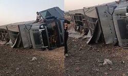 Siverek’te büyükbaş hayvan yüklü tır devrildi