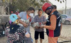 Ekipler ve Gönüllüler Tavukların Yardımına Koştu