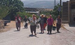 Mersin Mut'un kırsal mahalleleri su sorununa çözüm istedi