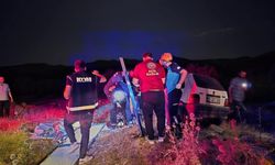 Otomobil ata çarptı: 2 yaralı
