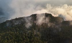 Sinop'taki orman yangını kontrol altına alındı