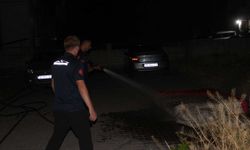 Polisin dikkati faciayı önledi