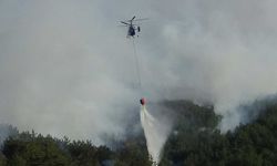 Bolu’daki orman yangını kısmen kontrol altında: 2 gözaltı