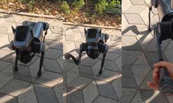 Eskişehir'deki robot köpek görenleri hayrete düşürdü
