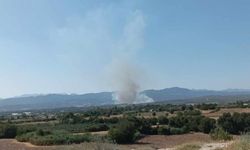 Osmaniye'de orman yangını çıktı