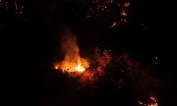 Çanakkale'de gece saatlerinde çıkan orman yangını kontrol altına alındı