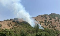 Hakkari'de orman yangını