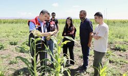 Ağrı'da çiftçinin bostanı örnek oldu: Sebze, meyve ve tahıl bir arada