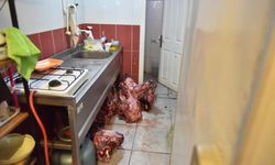 Yumurta paketinden hamam böceği yumurtaları çıktı, yapılan denetimden çıkanlar şoke etti