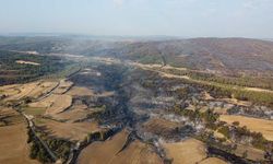 Gelibolu'da çıkan orman yangınının verdiği tahribat dron ile görüntülendi
