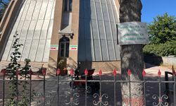 Ağaçlarda çevreye duyarlılık mesajları