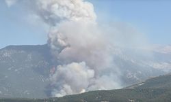 Denizli'de orman yangını