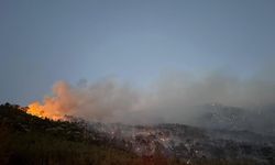 Denizli'deki orman yangını kontrol altına alındı