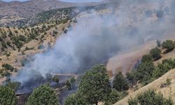 Malatya’da orman yangını