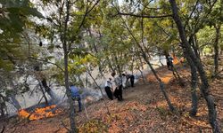 Adana'da orman yangını: Ekipler havadan ve karadan müdahale ediyor