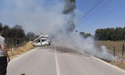 Kontrolden çıkan kamyonet elektrik direğini yerle bir etti