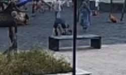 Parkta oynayan çocukları yerden yere vurdu