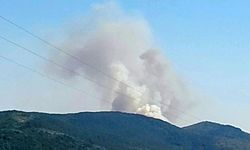 Karabük'te orman yangını çıktı