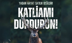 Eskişehir’de av ihalesine tepki