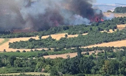 Çanakkale’de tarım arazisinde başlayan yangın ormanlık alana sıçradı