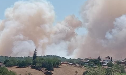Orman yangınına havadan ve karadan müdahale ediliyor