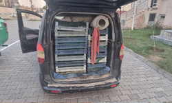 Kaçak kurbağa avcılığına jandarma operasyonu