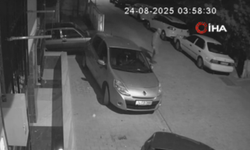 Sokak sokak gezdi, park halindeki araçlara zarar verdi