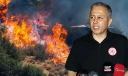 Bakan Yerlikaya: "Çanakkale’deki orman yangınlarında mahsur kalan 348 vatandaş kurtarıldı"