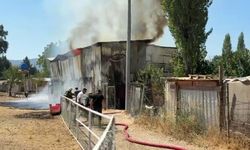 Hayvan damı yandı: 1 at, 2 keçi telef oldu