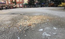 Eskişehir'de o alan ne zaman değerlendirilecek?