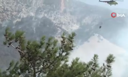 Denizli'deki orman yangınında soğutma çalışmaları devam ediyor